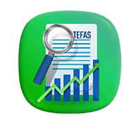 TEFAS Nedir